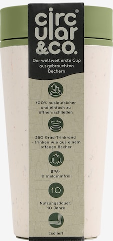 Circular&co Thermobecher To-Go 340 ml in Grün: predná strana