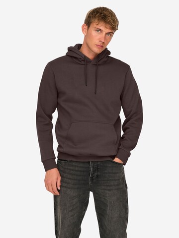 Only & Sons Sweatshirt 'Ceres' in Brown