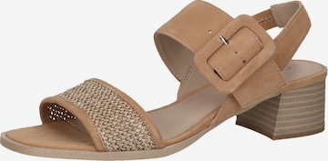 CAPRICE Sandals in Brown: front