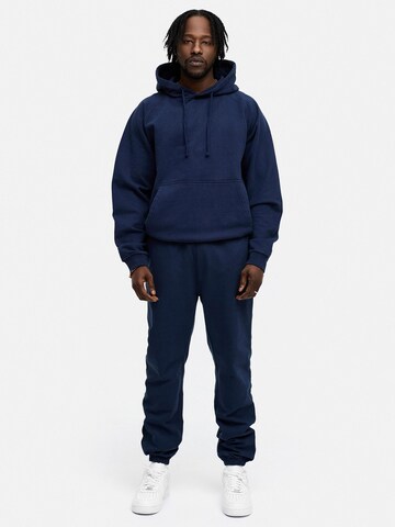 Daily Cotton Sweatshirt 'DCMONOWI' in Blue