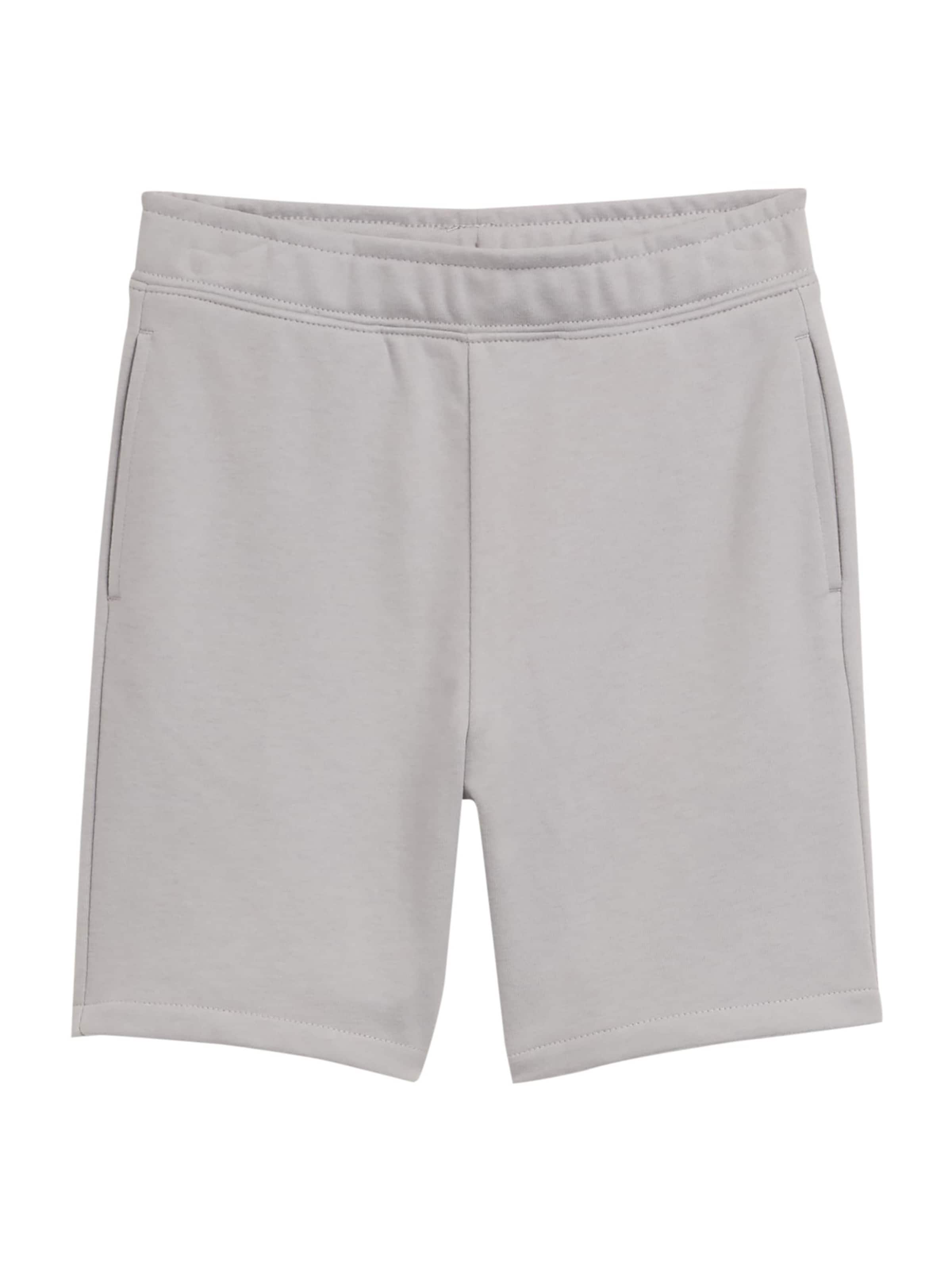 TOM TAILOR Regular Byxa i grå: framsida