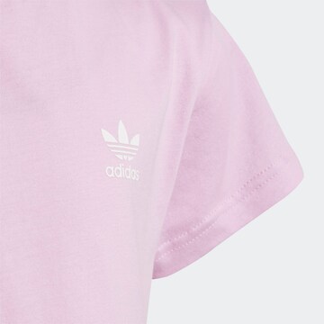 purpurinė ADIDAS ORIGINALS Marškinėliai 'Adicolor'