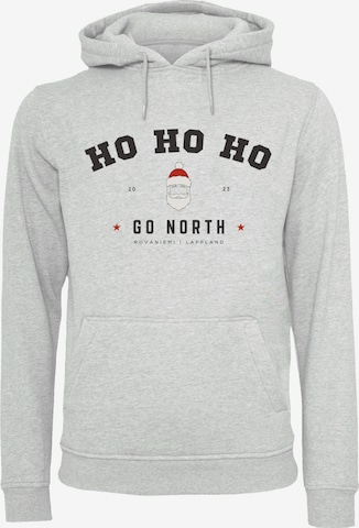 F4NT4STIC Sweatshirt in Grey: front