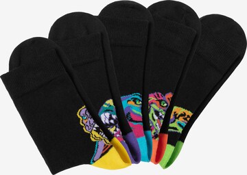 H.I.S Socken in Schwarz: predná strana