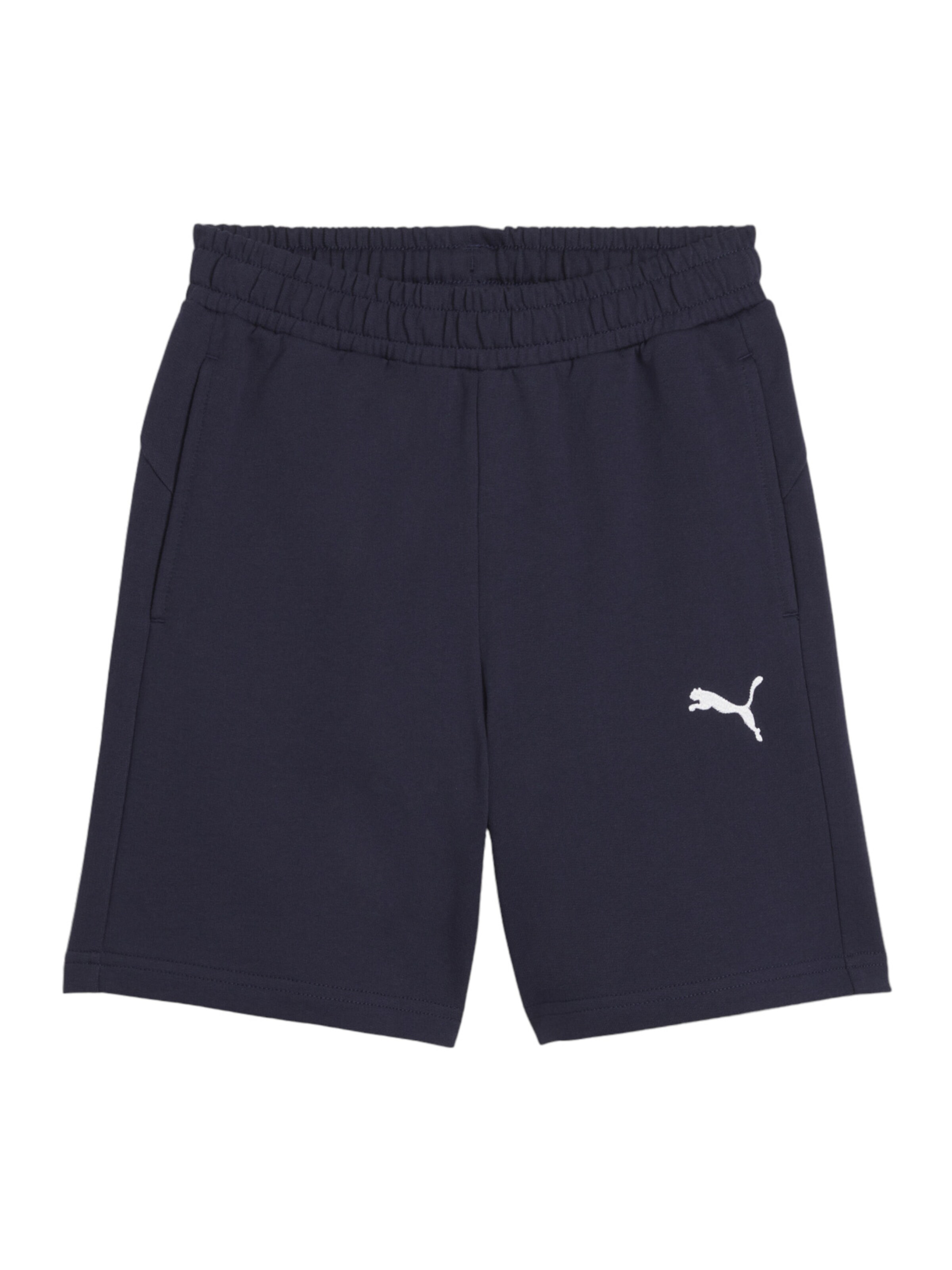 PUMA Workout Pants in Blue: front