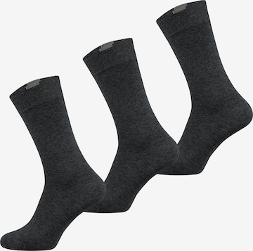 Nur Die - Calcetines ' Passt perfekt ' en gris: frente