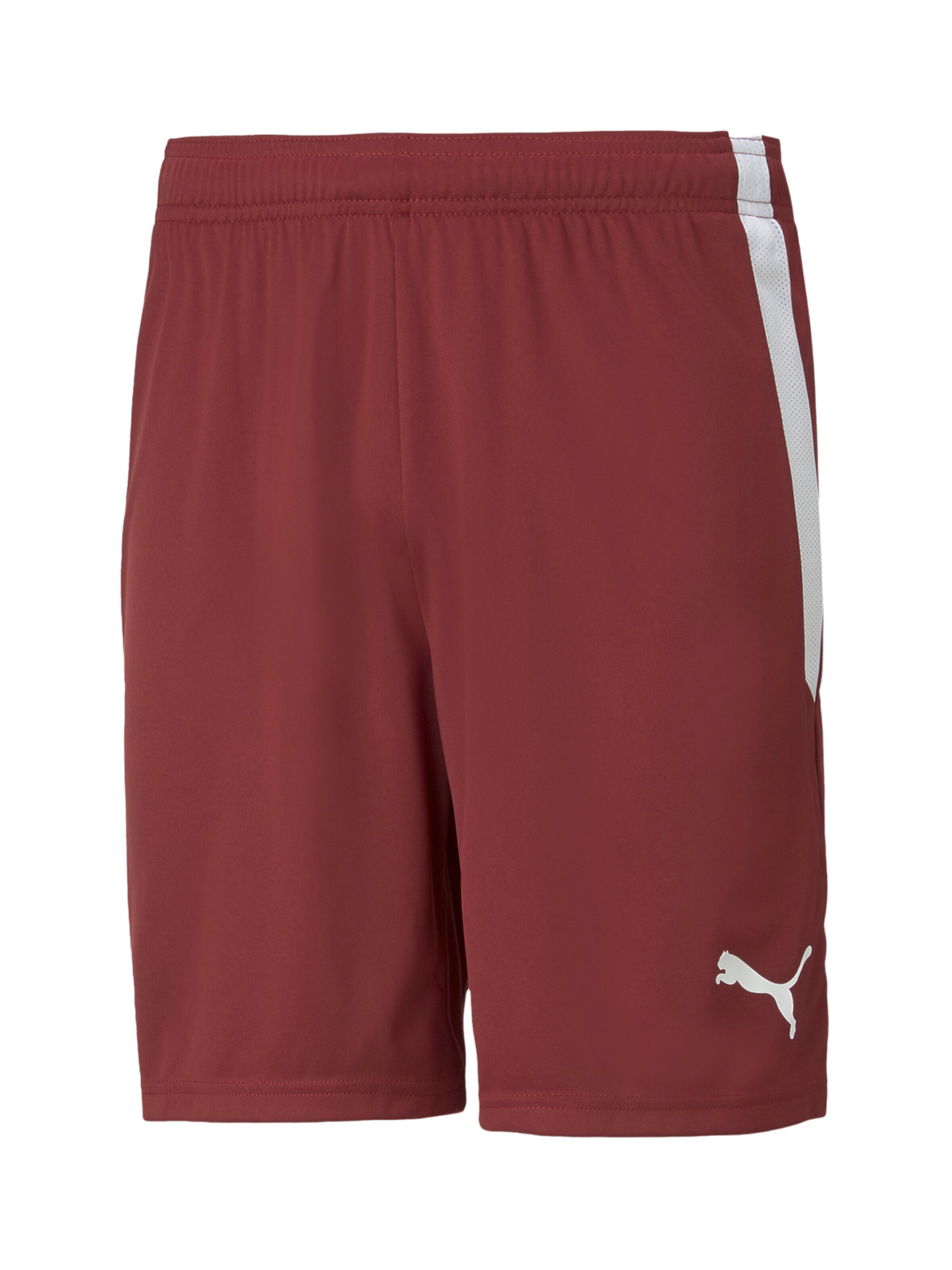 PUMA Sportshorts 'TeamLiga' in Rot: Vorderseite
