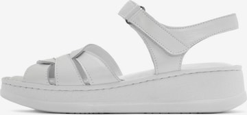 Sandalo di Derimod in bianco: frontale