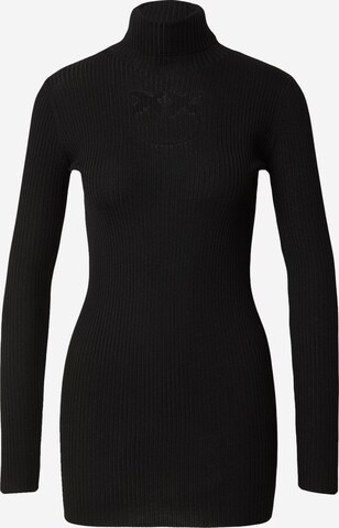 PINKO Sweater 'TARTARUGA MAGLIA' in Black: front