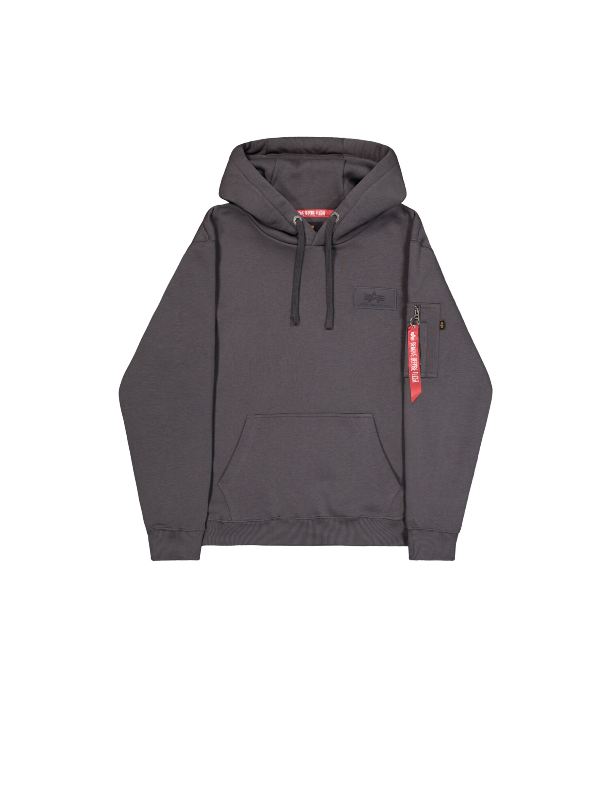 ALPHA INDUSTRIES Sweatshirt 'Backprint'‌‌‌‌‌ in Grau: Vorderseite