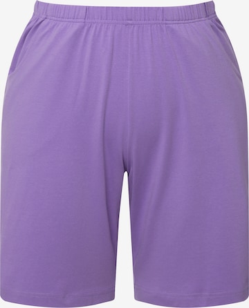 Ulla Popken Hose in Lila: Vorderseite