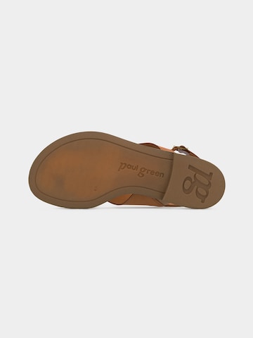 Paul Green Sandals in Brown