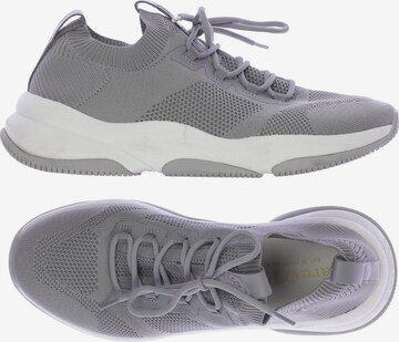 Marc O'Polo Sneakers & Trainers in 41 in Grey: front