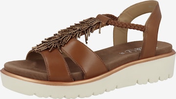 ARA Strap Sandals in Brown: front