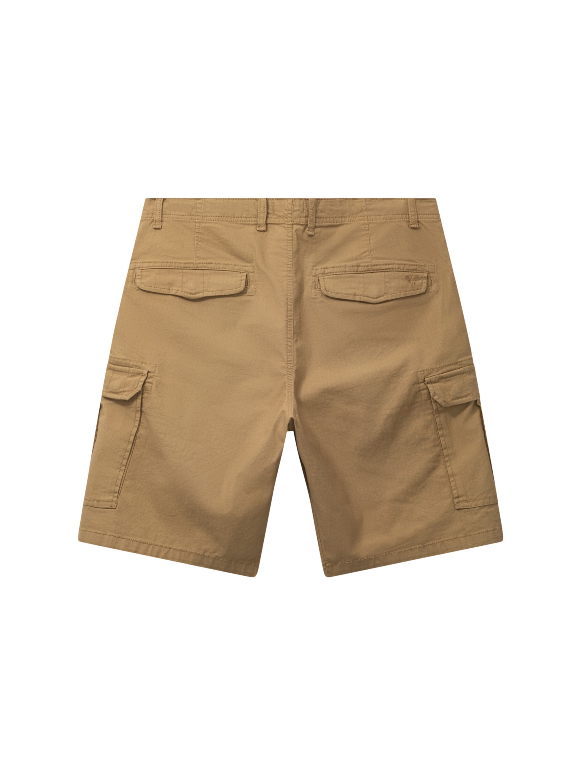 Regular Pantalon cargo 'Radar' Fat Moose en marron
