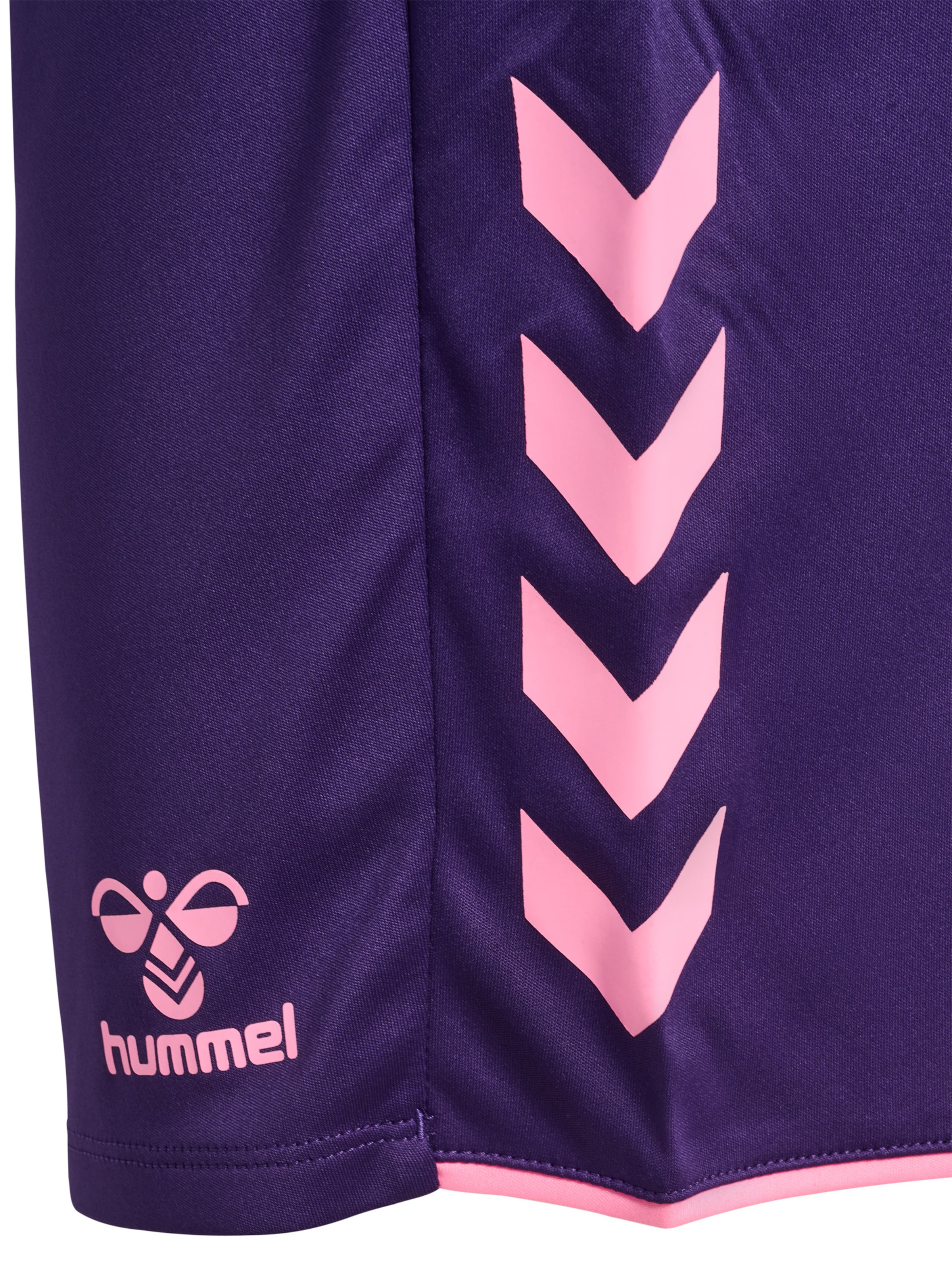Hummel Regular Sportbroek 'Core 2.0' in Lila