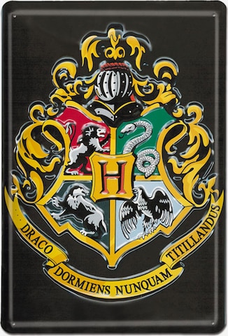 LOGOSHIRT Blechschild 'Harry Potter - Hogwarts' in Mischfarben: predná strana
