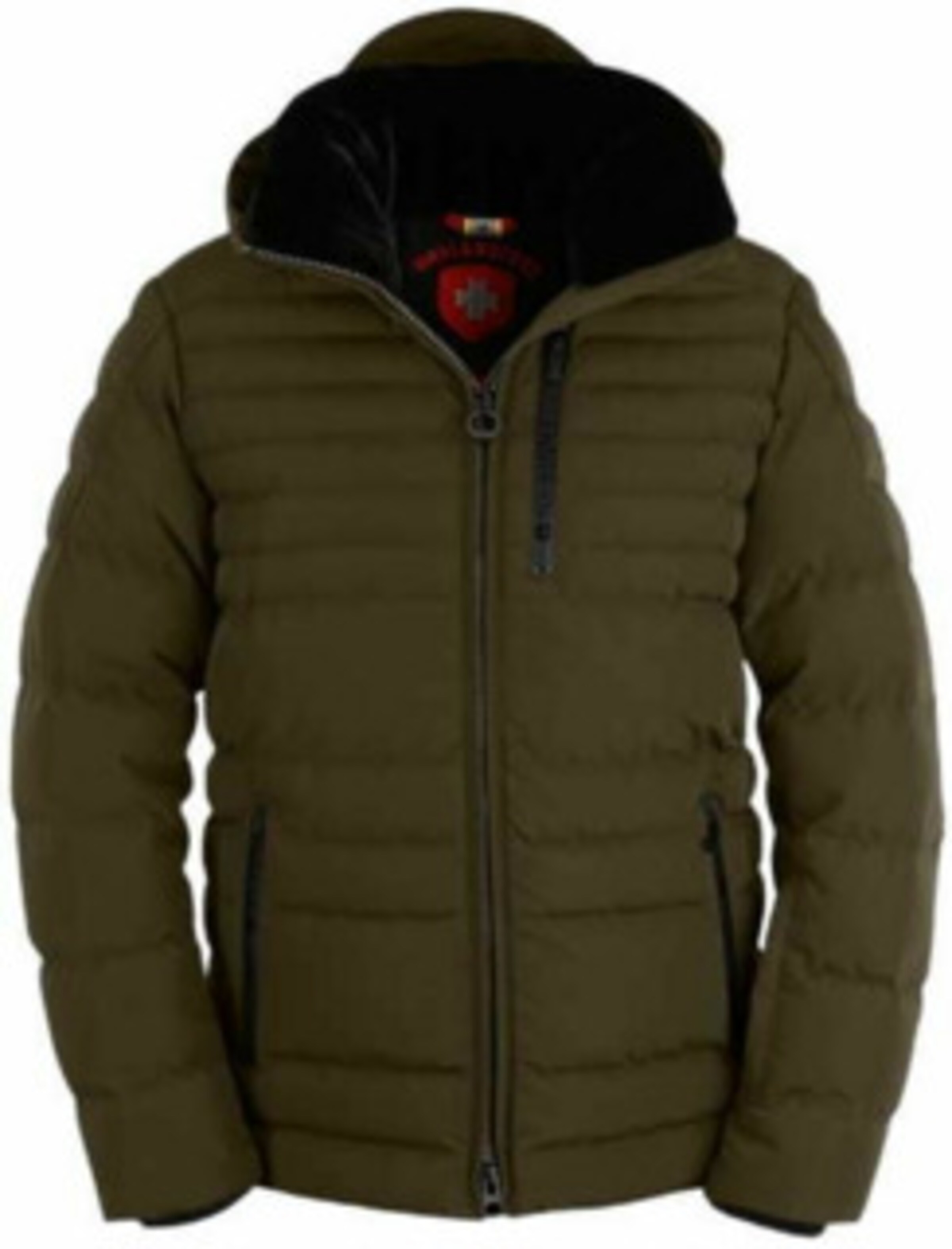 Wellensteyn Jacke in Grün: Vorderseite