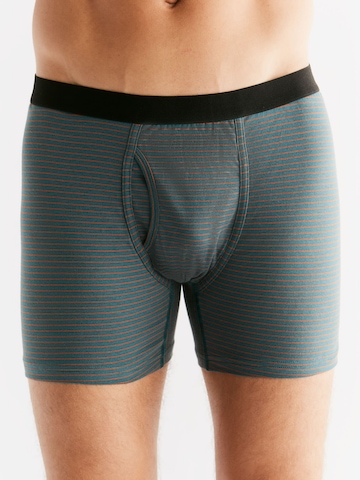 Albero Natur Boxershorts in Blau: Vorderseite