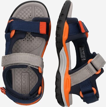 GEOX Sandals & Slippers 'Borealis' in Blue