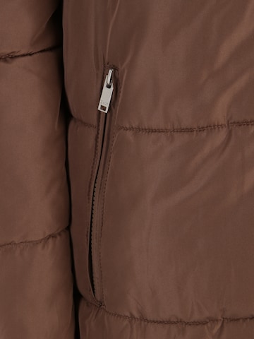 Only Tall Winter Coat 'ANNA' in Brown