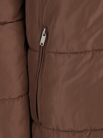 Manteau d’hiver 'ANNA' Only Tall en marron