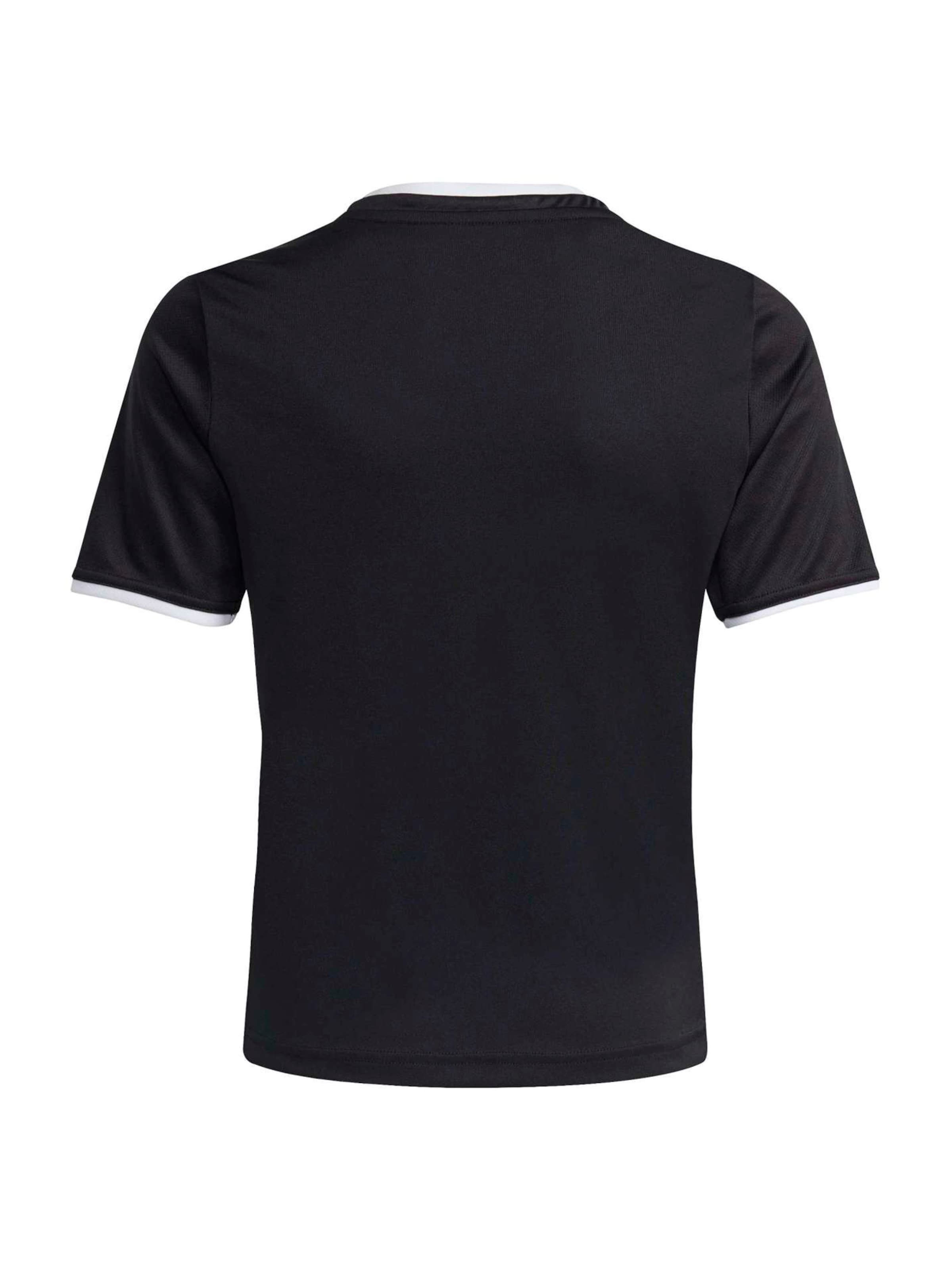ADIDAS PERFORMANCE Performance Shirt 'ENT26' in Black