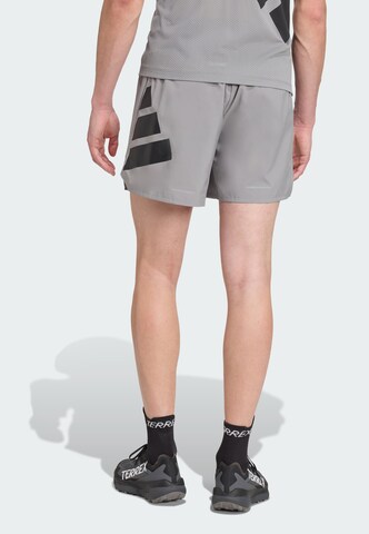 ADIDAS TERREX - regular Pantalón de montaña 'Xperior' en gris