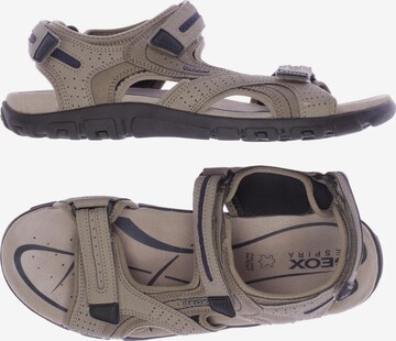 GEOX Sandalen 46 in Beige: predná strana