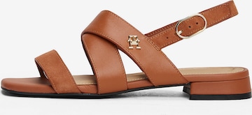 Sandales à lanières TOMMY HILFIGER en marron : devant