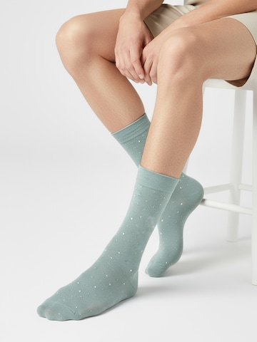 The Arctic Bay Socken 'DISCOVERY PACK EDITION 7 Unisex'‌‌‌‌‌ in Mischfarben