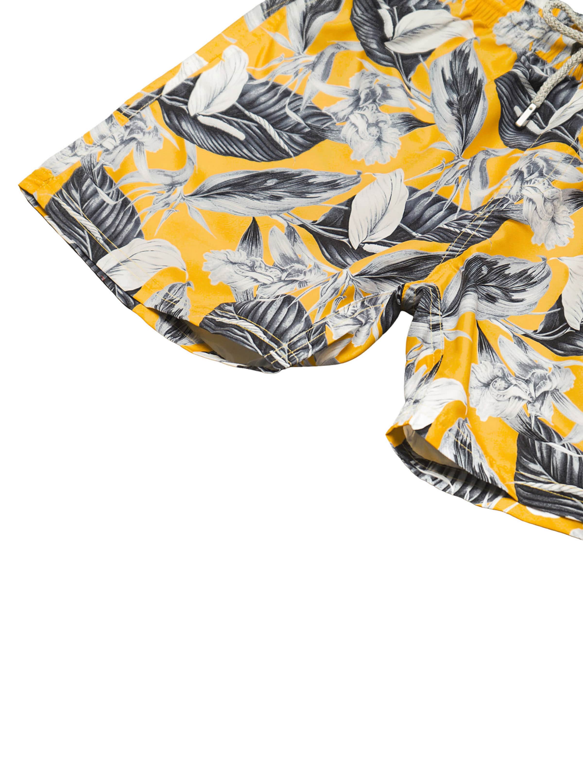 Bondi Joe Swimming shorts 'Hastings' in Yellow