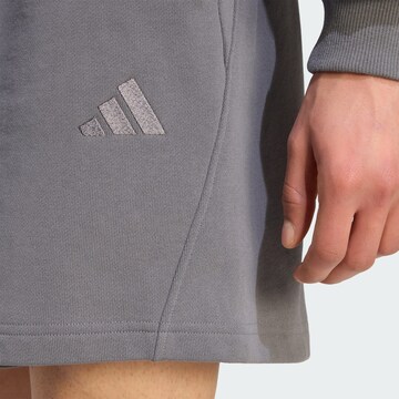 regular Pantaloni sportivi di ADIDAS SPORTSWEAR in grigio