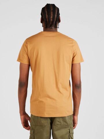T-Shirt HOLLISTER en marron