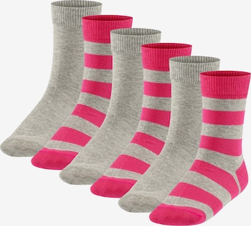 FALKE Socken in Grau: Vorderseite