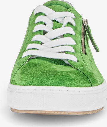 Sneaker bassa di GABOR in verde