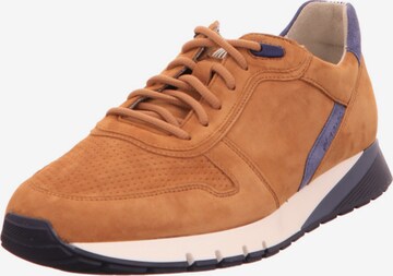 Pius Gabor Sneakers in Brown: front