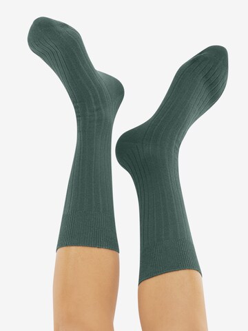 Chaussettes 'TOUGH GUY 4P' CHEERIO* en mélange de couleurs : derrière