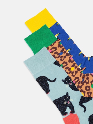 Chaussettes 'Exotic Trio' DillySocks en mélange de couleurs