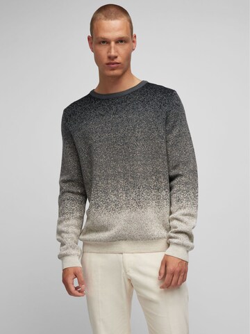 HECHTER PARIS Sweater in Grey: front