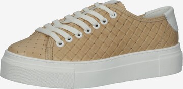 Baskets basses 'Vitoria' BRAX en beige : devant