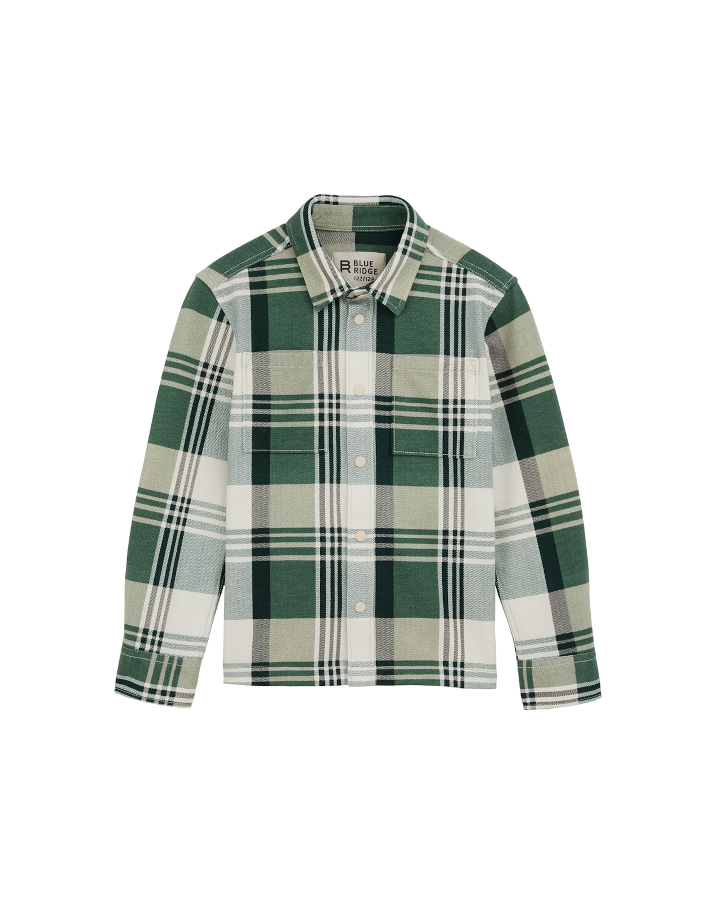 WE Fashion Regular fit Πουκάμισο σε πράσινο: μπροστά