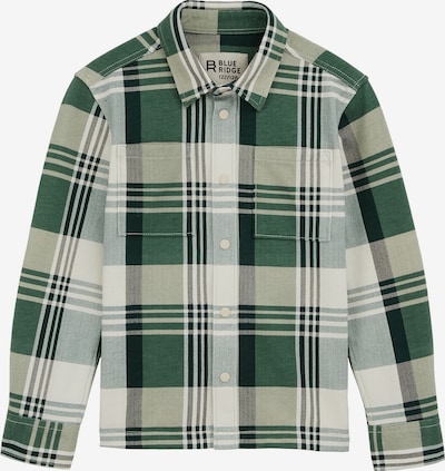 WE Fashion Paita värissä kuusi / vaaleanvihreä, Tuotenäkymä