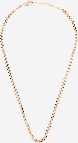 FOSSIL Necklace in Gold: front