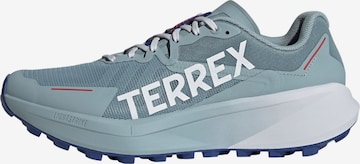 ADIDAS TERREX - Zapatillas de running 'Agravic 3' en gris: frente