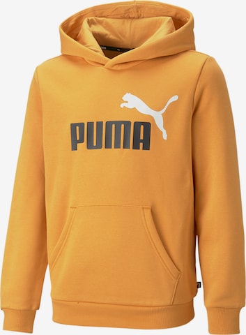 PUMA Sweatshirt in Orange: front