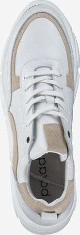 Palado Sneakers in White