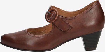 CAPRICE Pumps in Brown