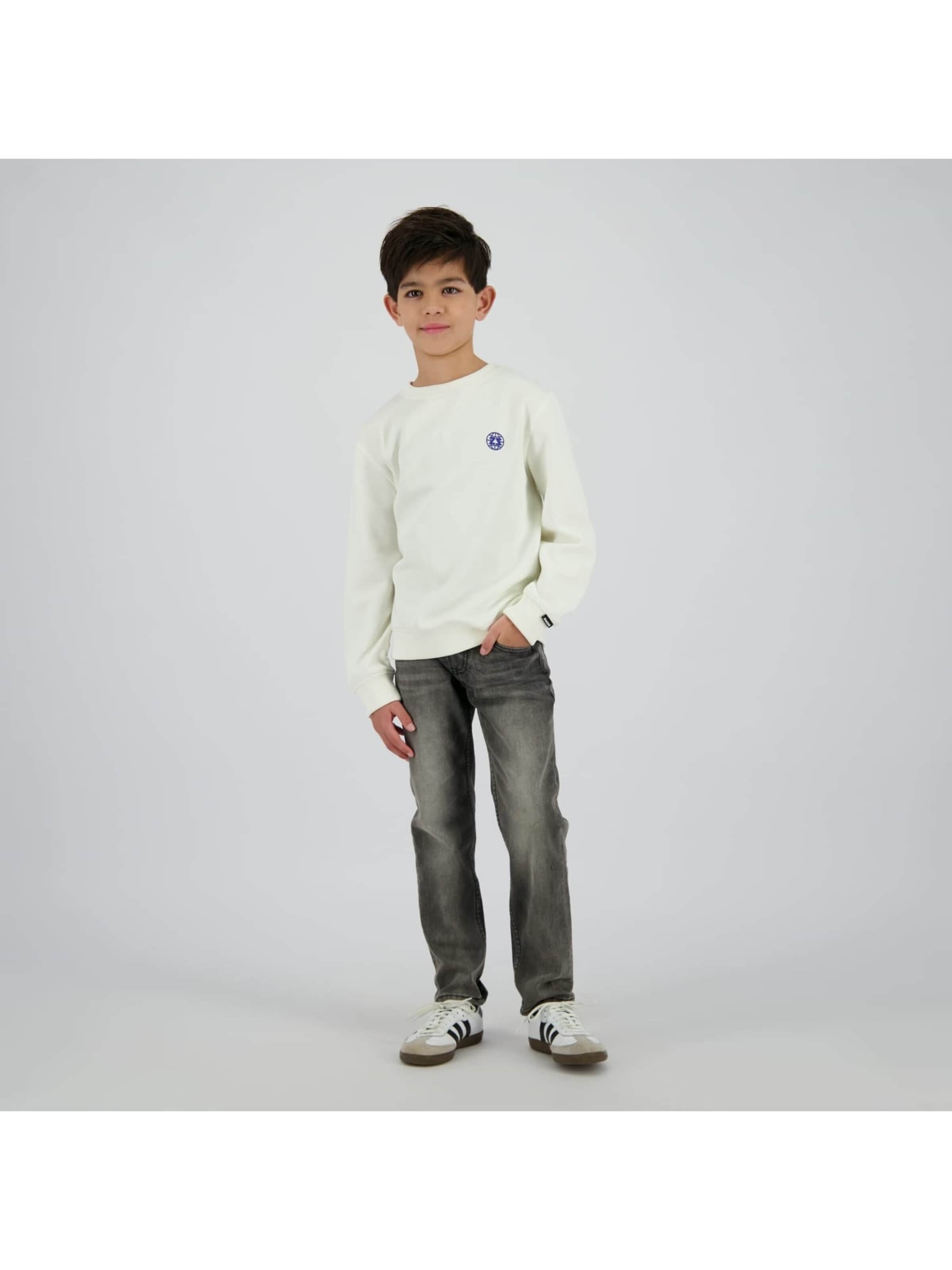 Raizzed Baggy Jeans in Grey