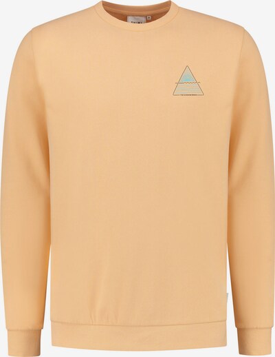 Shiwi Sweatshirt in Aqua / Peach / Black, Item view